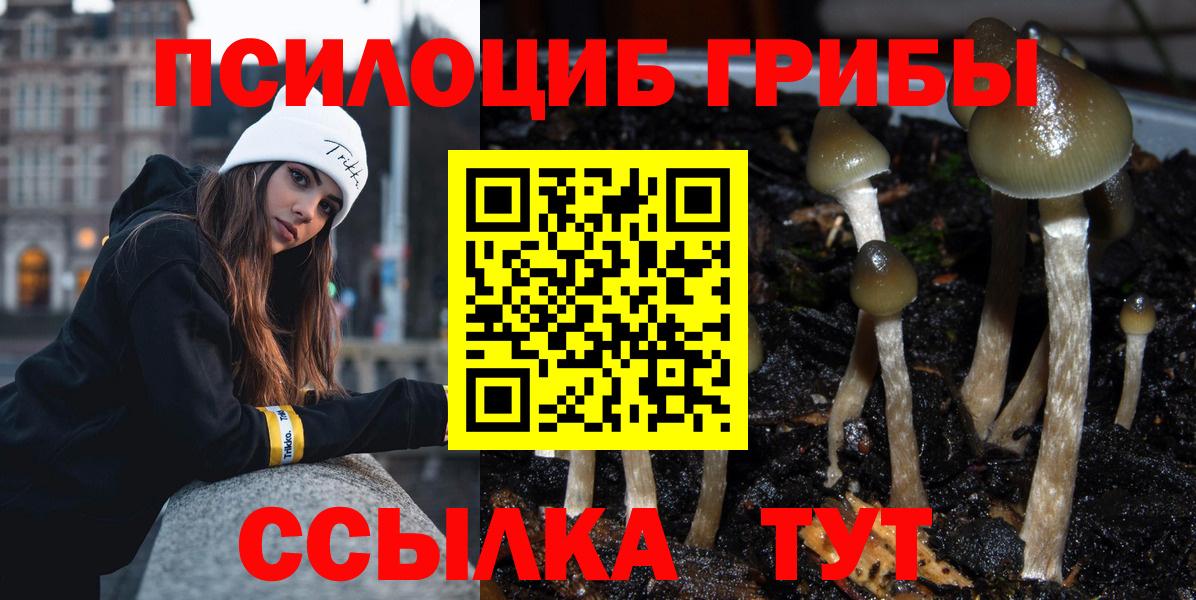 Кировск  Псилоцибиновые грибы Magic Shrooms  Вход с VPN 
